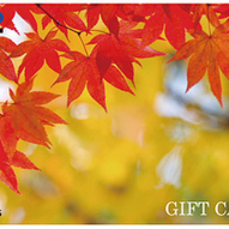QUOカード500円券：紅葉