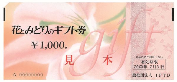 花とみどりのギフト券 写真2